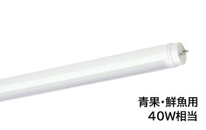 LED@AL-D40VF/18-AP@40W@AC G13@1200mm^Cv@d^@Бd@Fx5000K(F)@ʁENp@UNITY/jeB@akaria@ǌ`NHipLEDuv