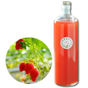 t[crlK[  y\[| z V Ó쒬̃C`S_Ƃ̃}}邨َq̂X [}}̂]ސI Ɛ||Xgx[rlK[ Strawberry Vinegar|ʕ ||850g