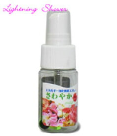 浄化スプレー さわやか(小)　携帯用 浄化 水を入れるだけ！ お清め 浄化グッズ 携帯 アクセサリー 火も煙も必要ありません！！