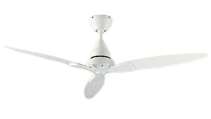 DAIKO d@ RtV[Ot@ DP-41997