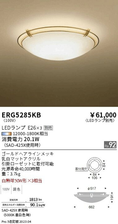 楽天市場】ERG5285KB ENDO照明 遠藤照明 【メーカー直送】 シーリング 