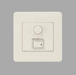 X239WB ENDO�Ɩ� �����Ɩ� �y���[�J�[�����z ���C�g�R���g���[��PWM�M������100V