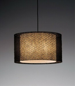 ENDO Ɩ LEDy_g(vʔ) XRP6048BC