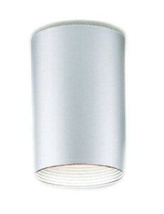 ENDO Ɩ LEDV[OCg(vʔ) ERG5349S