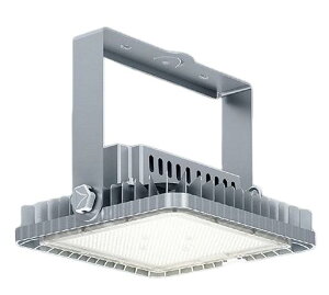 ENDO Ɩ(V) LEDωAEghAX|bgCg ERS6371SA