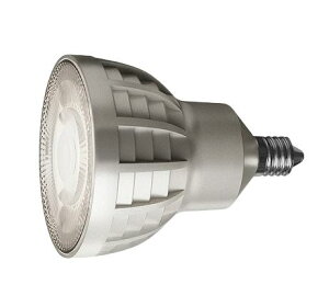 ENDO Ɩ(V) LEDʑpv RAD730M