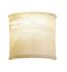 ENDO Ɩ LEDuPbg(vʔ) XRB1017NB