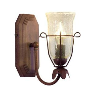 ENDO Ɩ LEDuPbg(vʔ) XRB1053UB