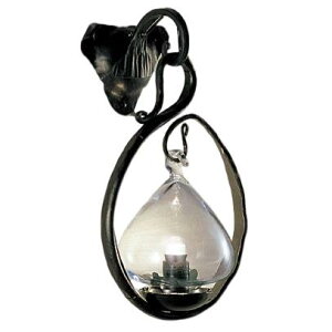 ENDO Ɩ LEDuPbg(vʔ) XRB1058BB