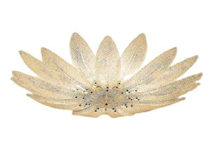 yʌʉi񋟕izENDO Ɩ LEDVfA(vʔ) XRG4013CB