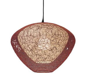 ENDO Ɩ LEDy_g(vʔ) XRP6089R