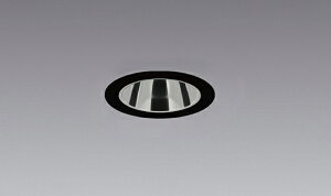 ERD9374BA ENDO�Ɩ� �����Ɩ� �y���[�J�[�����z �������F�O���A���X�x�[�X�^600TYPE�Q�L�p�Q���Q��50