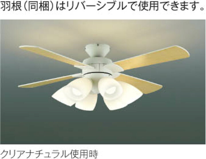 楽天市場】KOIZUMI(NS)コイズミ照明 シーリングファン〜10畳 AM41906L 