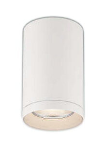 KOIZUMI RCY~Ɩ LEDV[O_ECg XH53747