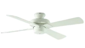 KOIZUMI RCY~Ɩ SV[YV[Ot@(ʔj AEE695070