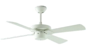 KOIZUMI RCY~Ɩ SV[YV[Ot@(ʔj AEE695071