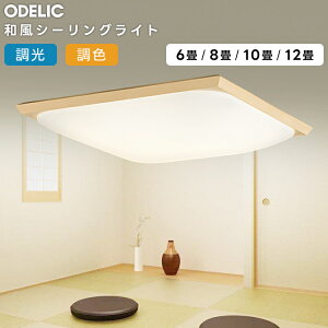 ODELIC �I�[�f���b�N(OX) LED�a���V�[�����O���C�g�`6�������E���F�^�C�v OL291017R