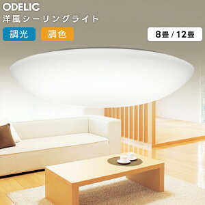 ODELIC �I�[�f���b�N(OS) LED�m���V�[�����O���C�g�`8���������F�^�C�v OX9089LDRS