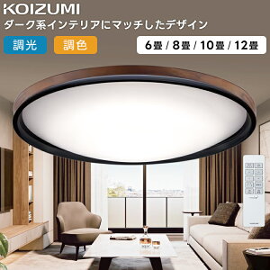 KOIZUMI �R�C�Y�~�Ɩ� LED�V�[�����O���C�g�`12�� AH55746