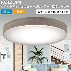 KOIZUMI(NS) �R�C�Y�~�Ɩ� LED�V�[�����O���C�g�`12�� AH55634