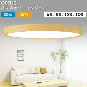 ODELIC �I�[�f���b�N(OX) LED�������F�V�[�����O���C�g�`10��(�����R���ʔ��jOL291418BR