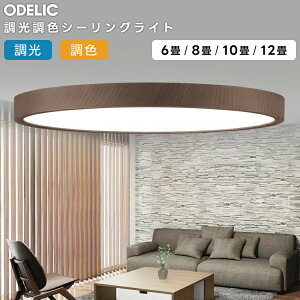 ODELIC �I�[�f���b�N(OX) LED�������F�V�[�����O���C�g�`10��(�����R���ʔ��jOL291422BR