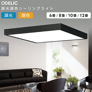 ODELIC �I�[�f���b�N(OS) LED�������F�V�[�����O���C�g�`12��(�����R���ʔ��j OL291511BR