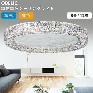 ODELIC �I�[�f���b�N LED �����E���F�V�[�����O���C�g�`12��(�����R���ʔ��j OL291668BR