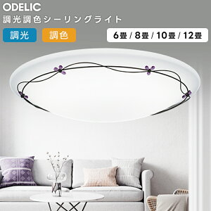 ODELIC �I�[�f���b�N(OX) LED�������F�V�[�����O���C�g�`8�� OL251452R