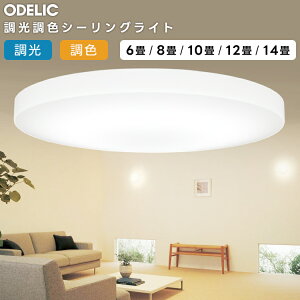 ODELIC �I�[�f���b�N LED�������F�V�[�����O���C�g�`14�� OL251217R1