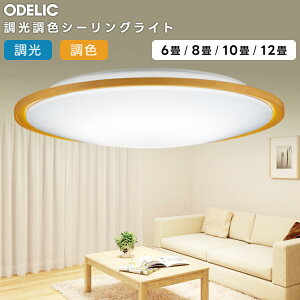 ODELIC �I�[�f���b�N LED�������F�V�[�����O���C�g�`12�� OL291325R