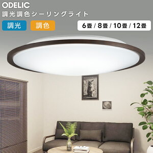 ODELIC �I�[�f���b�N LED�������F�V�[�����O���C�g�`10�� OL291318R