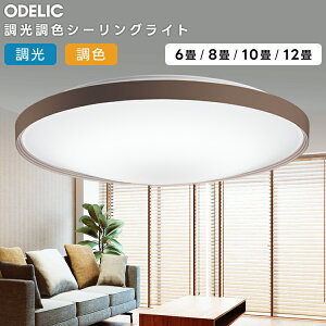 ODELIC �I�[�f���b�N(OX) LED�������F�V�[�����O���C�g�`10�� OL291560R