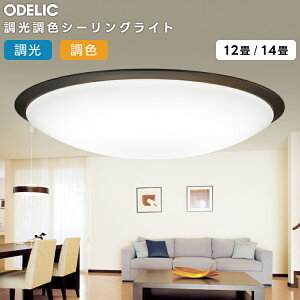 ODELIC �I�[�f���b�N LED�������F�V�[�����O���C�g�`14�� OL251260R1