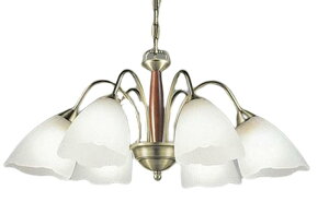 ODELIC I[fbN LEDVfA`10 F(Rʔ) OC006487BR