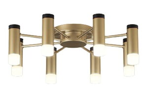 ODELIC I[fbN LEDVfA`10 ^Cv(ʔ) OC257199R