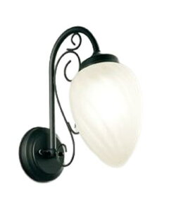 ODELIC I[fbN LED|[`Cg(ʔlmJΉEʔZT[Ή) OG254309LCR