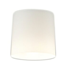 ODELIC �I�[�f���b�N(OS) LED���^�V�[�����O���C�gOL013006LR