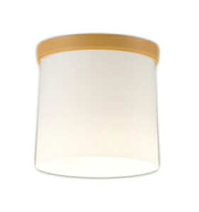 ODELIC �I�[�f���b�N LED���^�V�[�����O���C�g OL013007LR