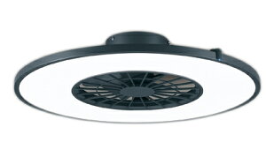 ODELIC I[fbN CItV[Ot@F^Cv8 OL291275BR