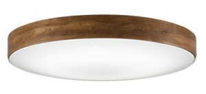 ODELIC I[fbN(OX) LEDFV[OCg`12 OL291355R