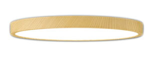 ODELIC I[fbN(OX) LEDFV[OCg`8(Rʔj OL291419BR