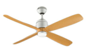 ODELIC I[fbN DC[^[V[Ot@( {̂̂݁Eʔ) WF081P1