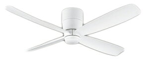 ODELIC I[fbN DC[^[V[Ot@( {̂̂݁Eʔ) WF812P1