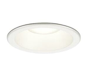 OD361789R I[fbN(OX) LED _ECg a100 F 100W (lZT[AΉ)