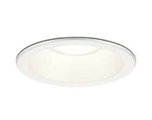 OD361790R I[fbN(OX) LED _ECg a100 dF 100W (lZT[AΉ)