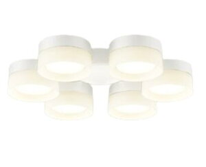 WF297LR I[fbN V[Ot@pLED `8p dF (LED\j