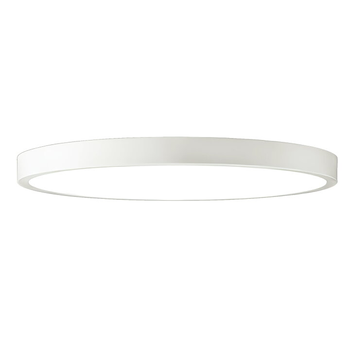 楽天市場】ODELIC オーデリック(OS) LED洋風シーリングライト〜12畳  