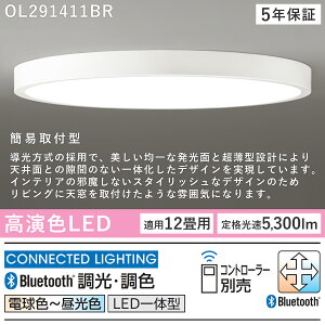 yЍ݌ɗLzODELIC I[fbN(OS) LEDmV[OCg`12(Rʔj OL291411BR