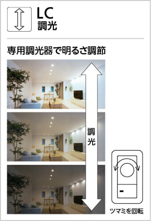 楽天市場】ODELIC オーデリック LEDペンダント OP252862LR : ライト  